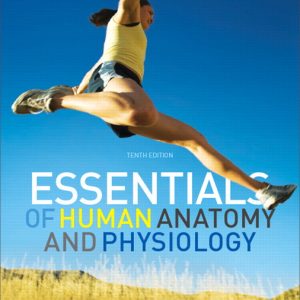 Test Bank for Essentials of Human Anatomy Physiology 10th Edition by Marieb ISBN 0321720393